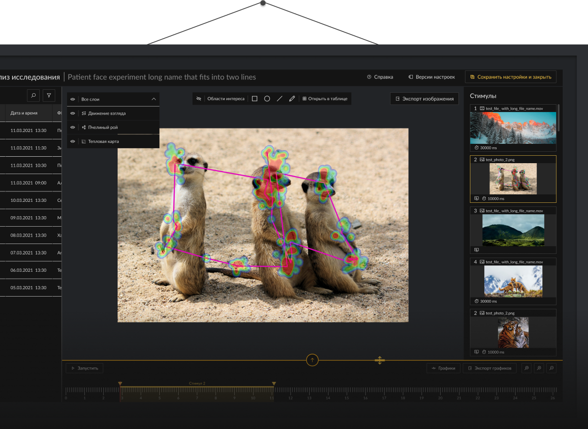 Обновленный интерфейс платформы для нейроисследований